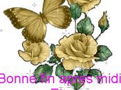 Petites harchas salees blog decouvrir celui Kelly