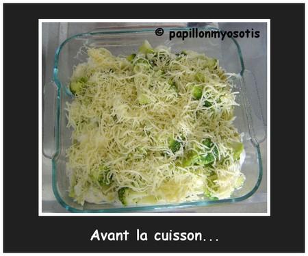 GRATIN DE BROCOLIS ET POMMES DE TERRE Image25