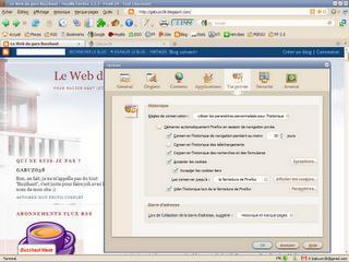 Thème charamel pour Firefox 3.5 - Options