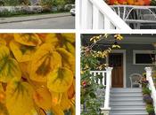 Sortie d'automne Kits