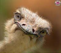 Son point de vue à Lui