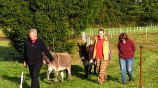 Dernier Souvenir de Rhede