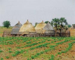 case maison afrique senegal soudan laitue legumes verts bio ecolo intensifier outil culture