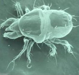 Le chiffre du jour: Le chiffre du jour: