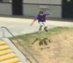 vidéo insolite skateboard nutshot