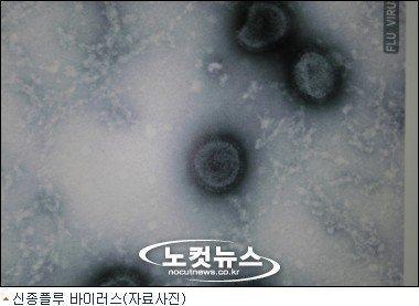 La Grippe A en Corée