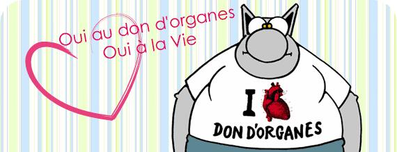 Don d'organes en France ~ Suite 6