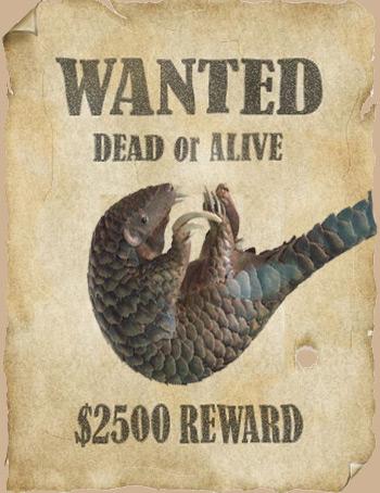 Les pangolins ou Manidés