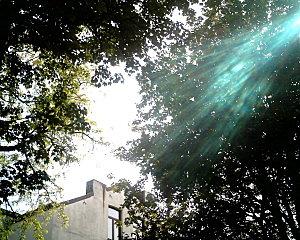 Mensonges - Acrostiche - Véronique Dubois