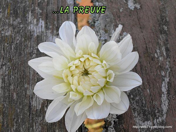 Le pouvoir de changer