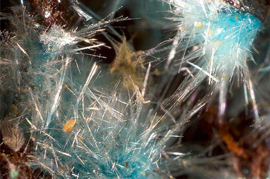 Des trésors dans la nature