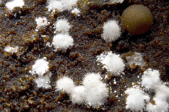 Des trésors dans la nature