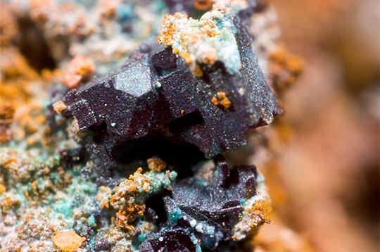 Des trésors dans la nature