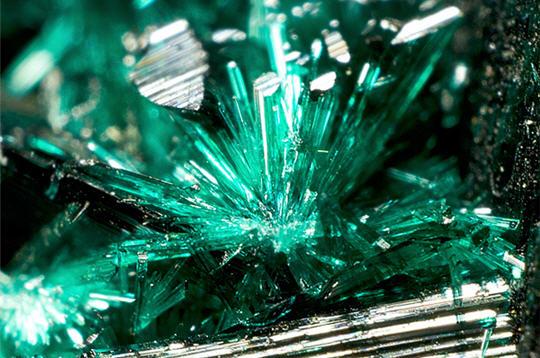 Des trésors dans la nature