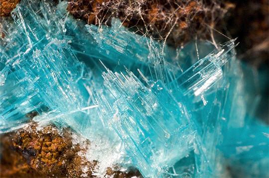 Des trésors dans la nature