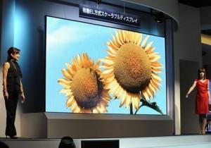 155-inch-oled-display-mitsubishi-300x210