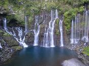 Page (Michael Edwards)