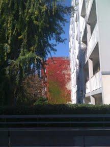 La photo du dimanche