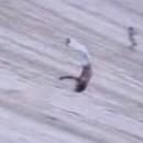 Descendre une dune en backflip