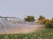 Monnaie irrigation