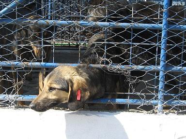 Une voix qui compte maintenant et en dix jours 400 membres