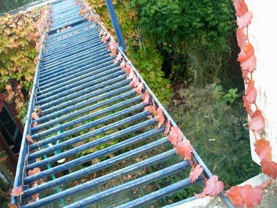 l'automne suit son bonhomme de chemin