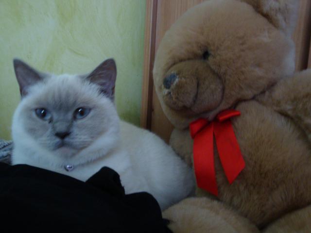 Vie quotidienne à Iriwal :)  (5)