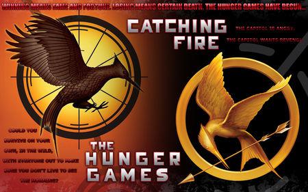 catching_fire_8308342_1280_800
