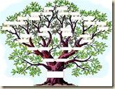 arbre-genealogique_1