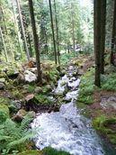 Randonnée cascades de Mérelle et de Chanony (Vosges)