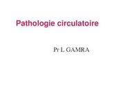 Pathologie Circulatoire
