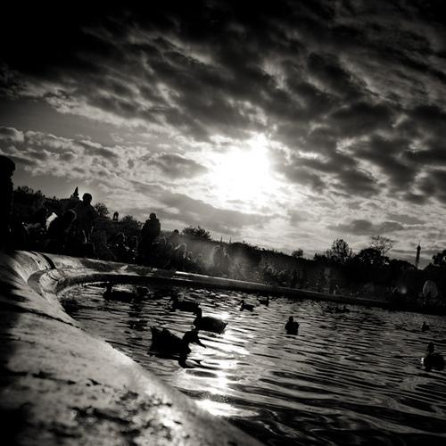 Jardin des Tuileries
