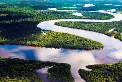 la forêt amazonienne