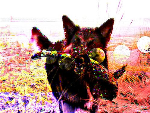 s'opposer au projet de réforme des collectivités locales.