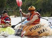 Course citrouilles géantes