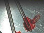 froid, Karin Slaughter