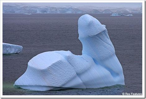 La nature nous étonne (1)