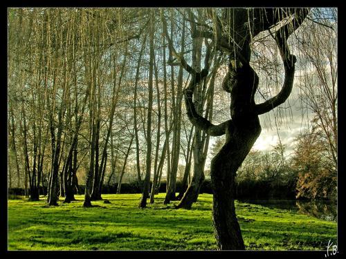 La nature nous étonne (1)