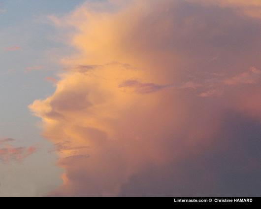 La nature nous étonne (1)