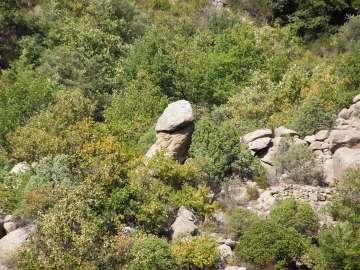 La nature nous étonne (1)