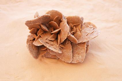 La nature nous étonne (1)