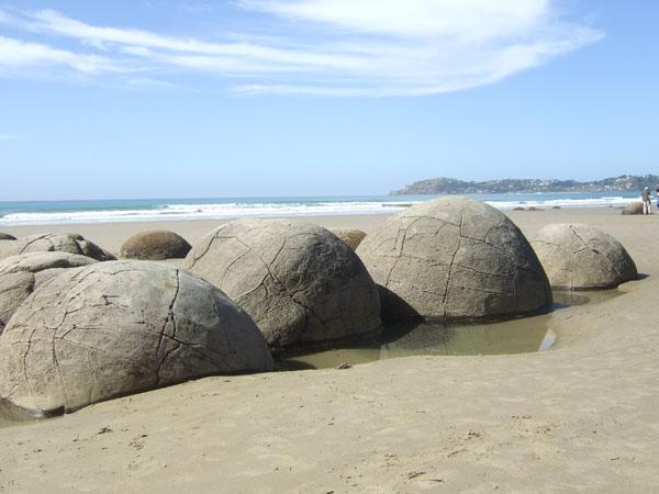 La nature nous étonne (1)