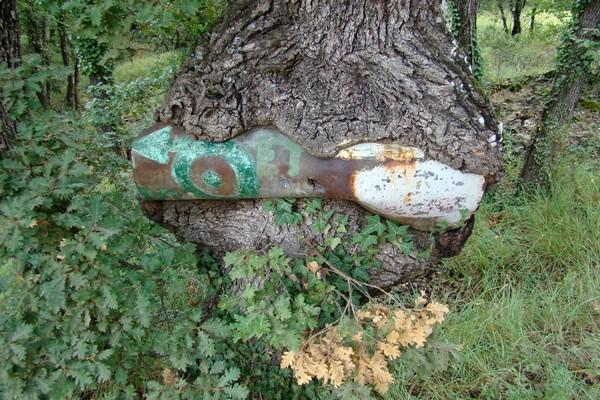 La nature nous étonne (1)