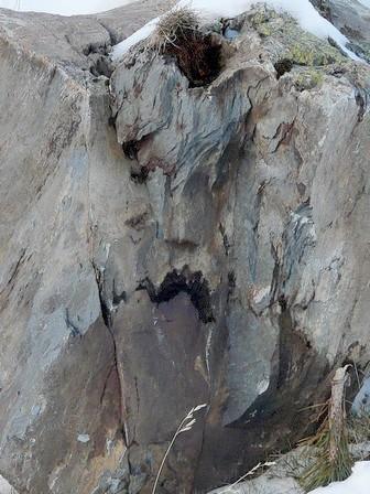 La nature nous étonne (1)