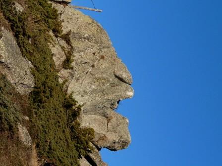 La nature nous étonne (1)