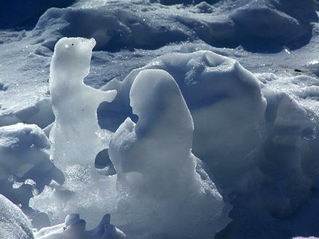 La nature nous étonne (1)
