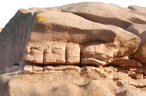 La nature nous étonne (1)