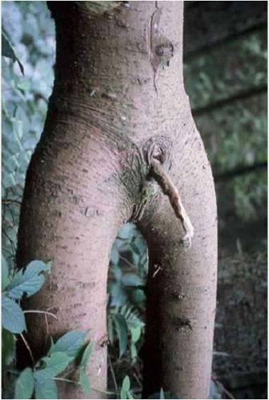 La nature nous étonne (1)