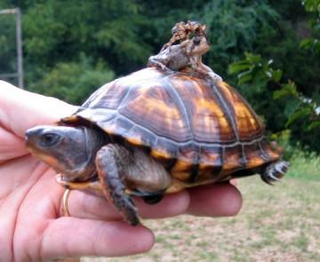 La nature nous étonne (3)