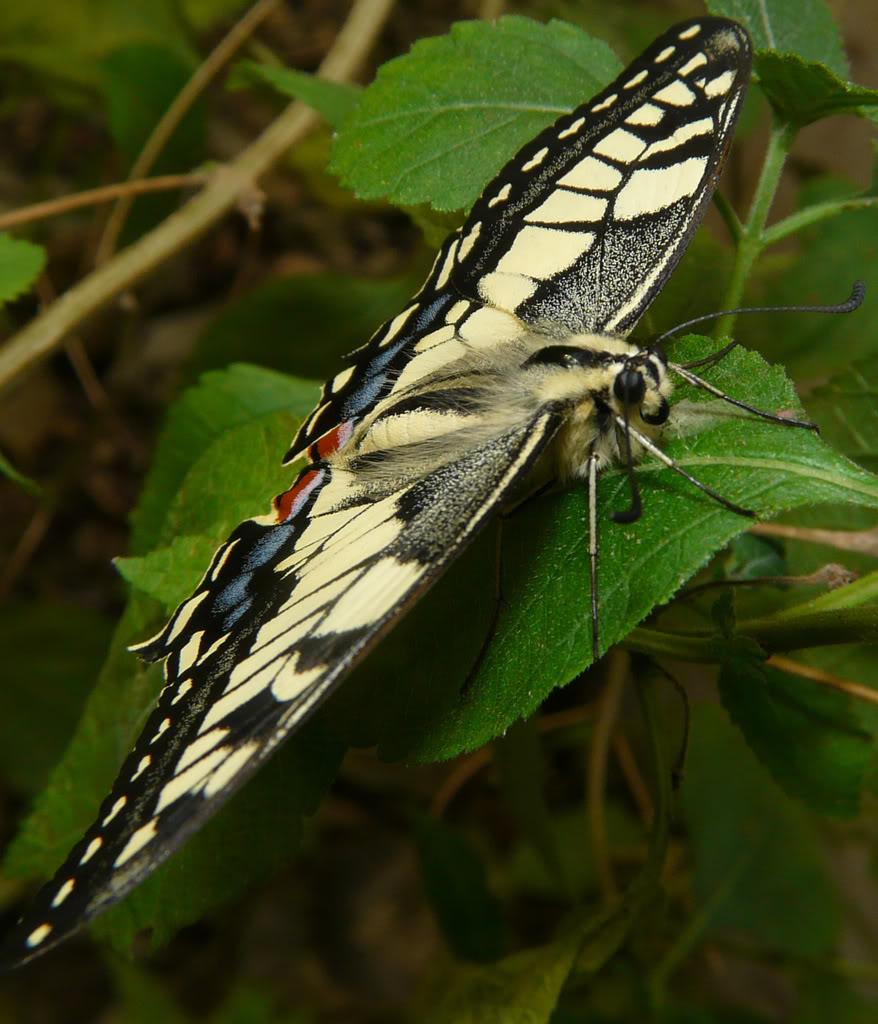 La nature nous étonne (3)